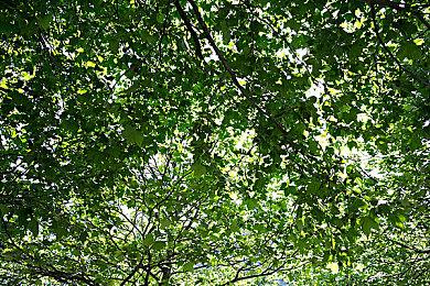 《暗黑4》新补丁本周上线 暂不含平衡性改动